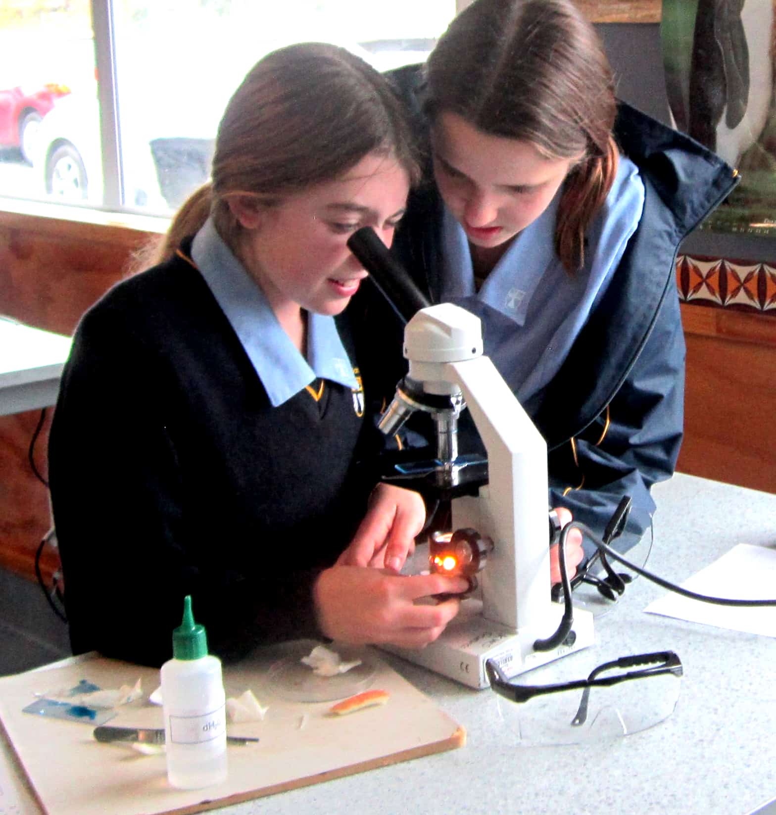 Middle School - science 1